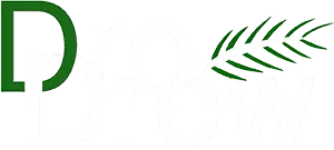 DRO DREW